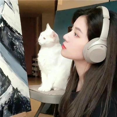 无处容身 封面